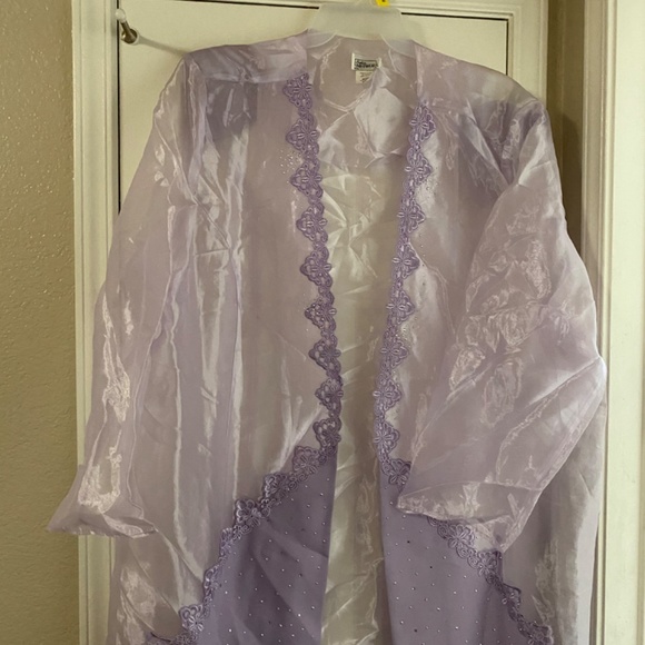 Sheer Elegant Jacket - Picture 6 of 6